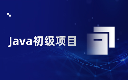 Java项目实战视频教程