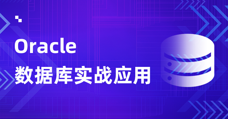 Oracle数据库应用视频教程