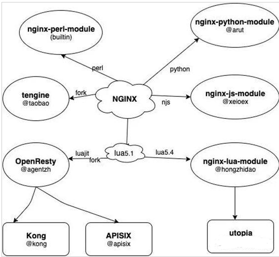 nginx服务器