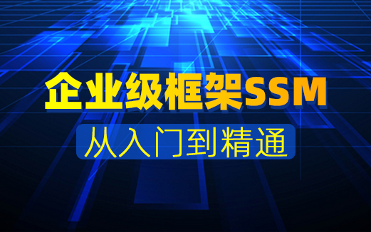 SSM实战视频教程