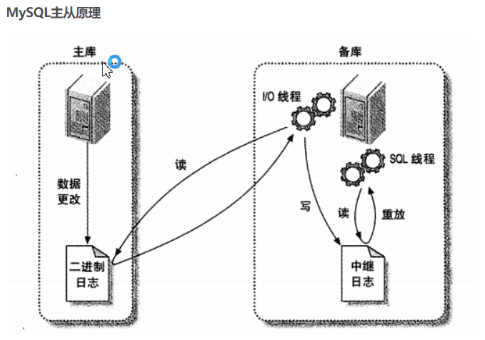 mysql主从复制与读写分离