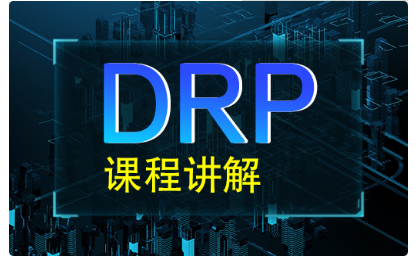 drp项目视频