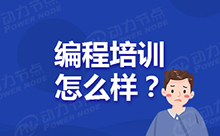 想报培训班学习编程，哪些是比较可靠的？