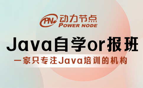 Java自学还是报班？那要看你的实力